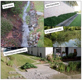 Systeem voor het behandelen van regenwater