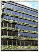 Verticale wand met groenbedekking