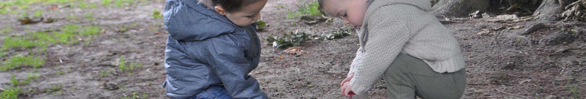Workshops welzijn en natuur in familieverband