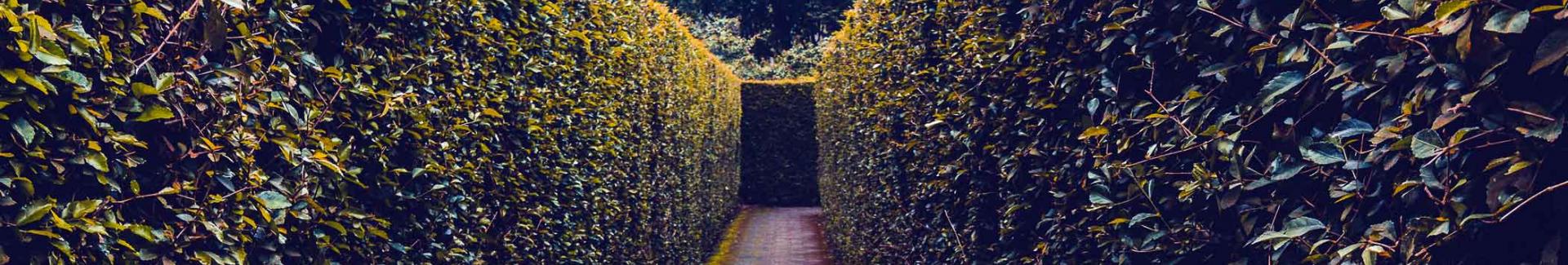 Bannière page 404 - Allée à Uccle